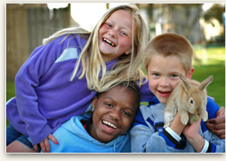 Non-Profit Organization Law